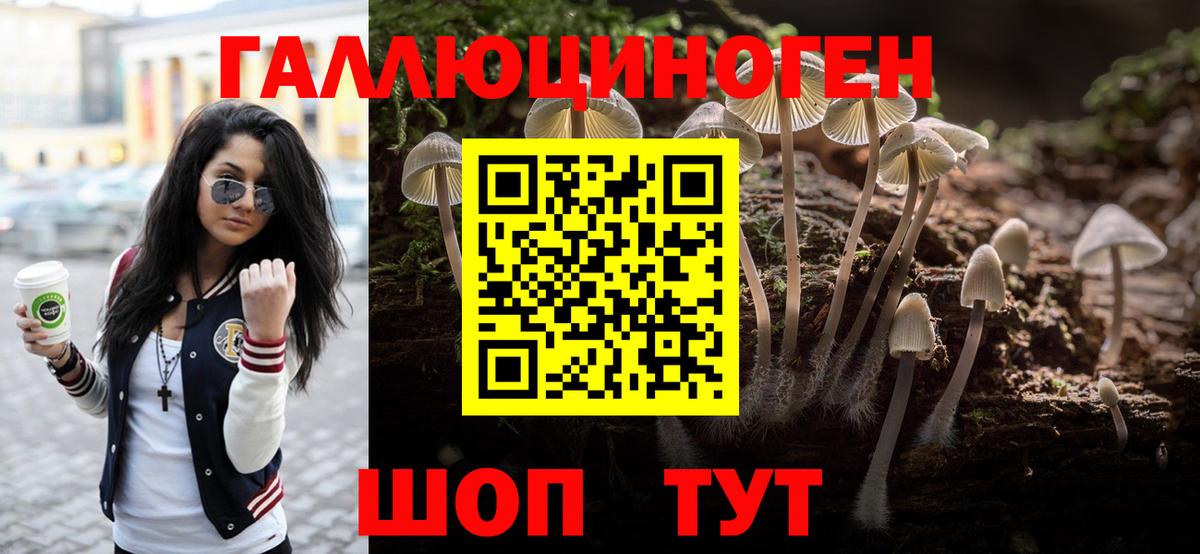 Мефедрон   ЭКСТАЗИ  Гашиш  Купить наркотик  ТГК  Кумертау  КОКАИН  Вход с VPN  Каннабис  НБОМе 