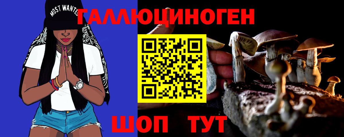 Галлюциногенные грибы Psilocybine cubensis Кумертау